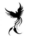 tribal phoenix pic tattoos